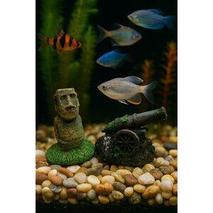 Penn Plex Mini Easter Island Cannon Aquarium Resin Décor Set